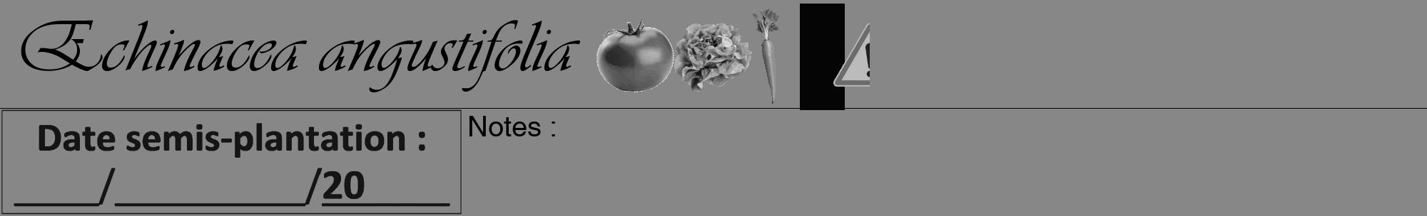 Étiquette de : Echinacea angustifolia - format a - style noire12viv avec comestibilité simplifiée