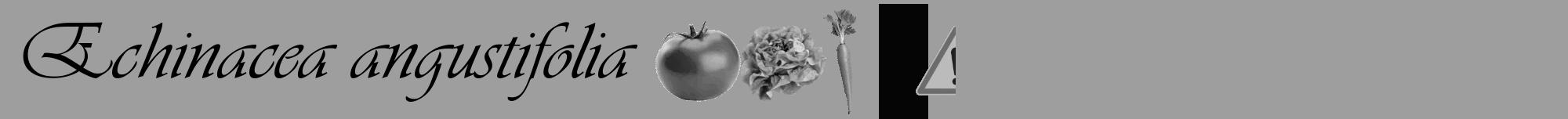 Étiquette de : Echinacea angustifolia - format a - style noire23viv avec comestibilité simplifiée