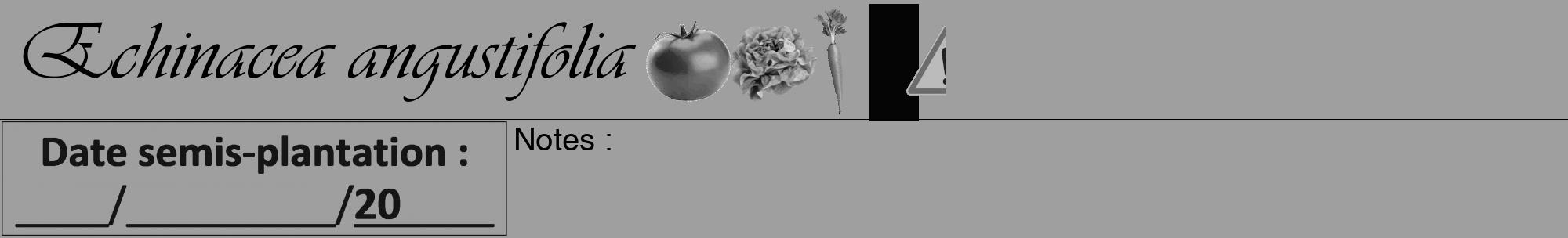 Étiquette de : Echinacea angustifolia - format a - style noire24viv avec comestibilité simplifiée