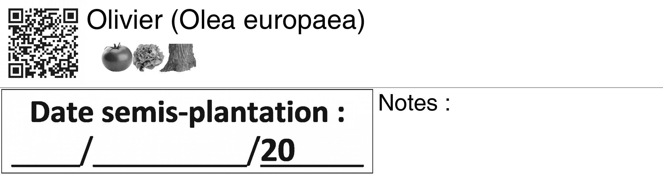 Étiquette de : Olea europaea - format c - style noire60_basiquegrrvhel avec qrcode et comestibilité simplifiée