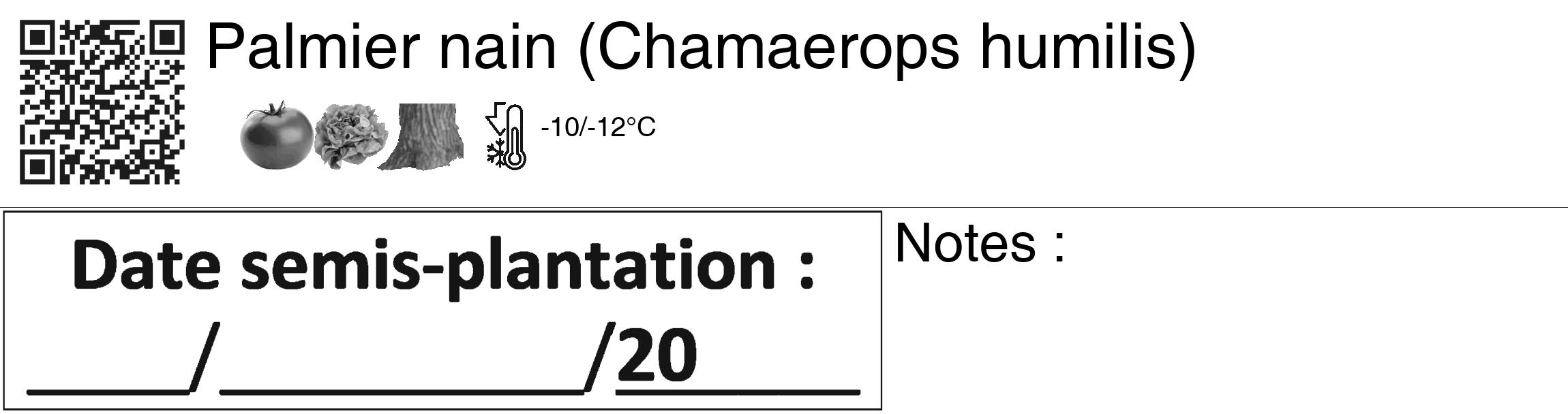 Étiquette de : Chamaerops humilis - format c - style noire60_basiquegrrvhel avec qrcode et comestibilité simplifiée