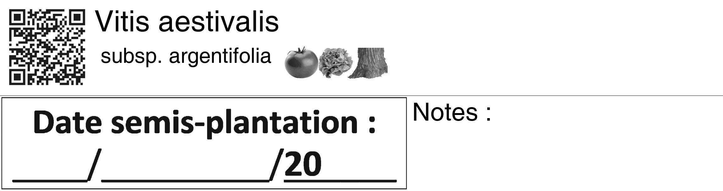 Étiquette de : Vitis aestivalis subsp. argentifolia - format c - style noire60_basiquegrrvhel avec qrcode et comestibilité simplifiée