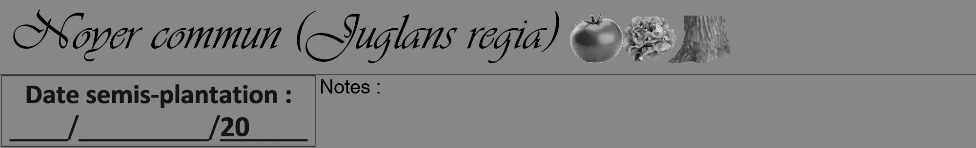 Étiquette de : Juglans regia - format a - style noire12viv avec comestibilité simplifiée
