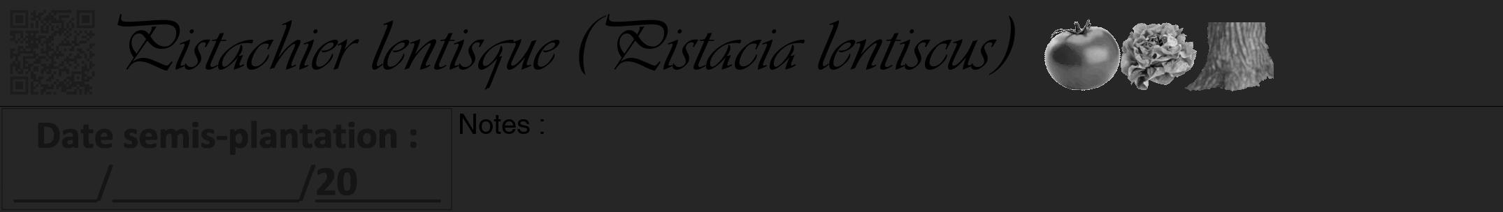 Étiquette de : Pistacia lentiscus - format a - style noire29viv avec qrcode et comestibilité simplifiée
