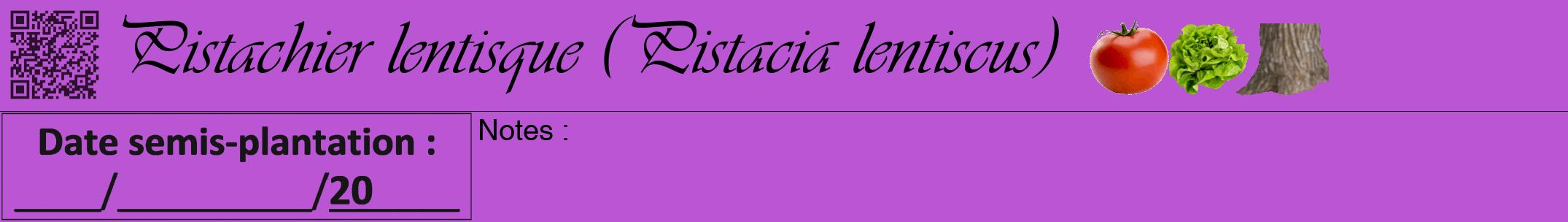 Étiquette de : Pistacia lentiscus - format a - style noire50viv avec qrcode et comestibilité simplifiée