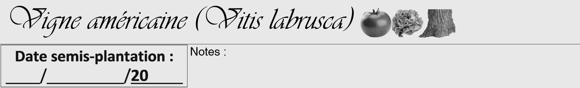 Étiquette de : Vitis labrusca - format a - style noire55viv avec comestibilité simplifiée