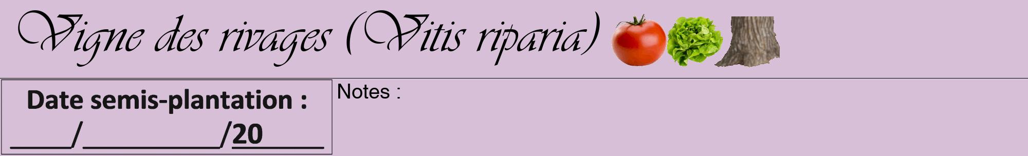 Étiquette de : Vitis riparia - format a - style noire54viv avec comestibilité simplifiée