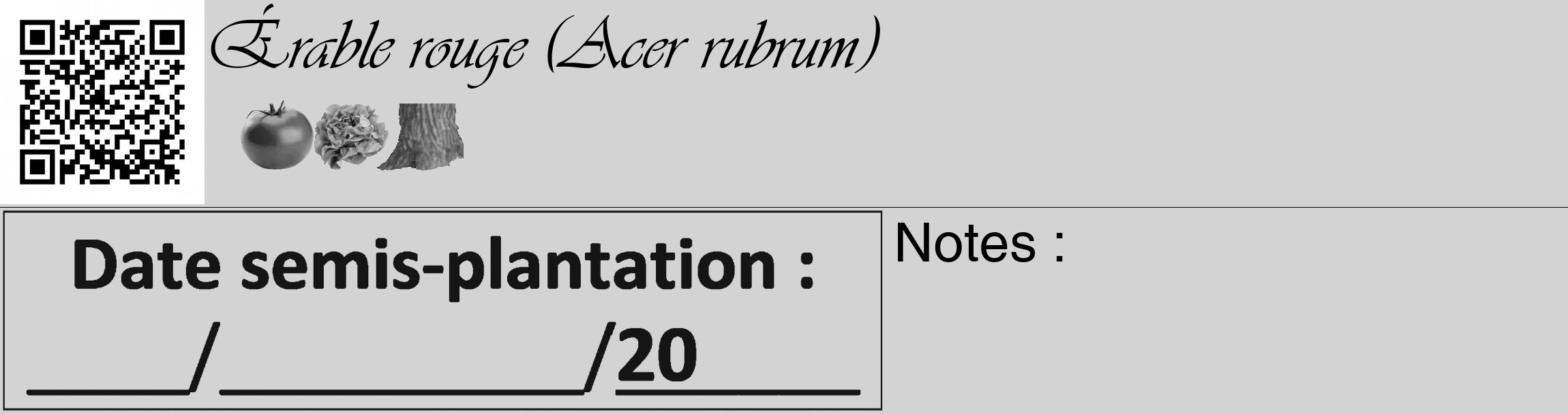 Étiquette de : Acer rubrum - format c - style noire56_basique_basiqueviv avec qrcode et comestibilité simplifiée
