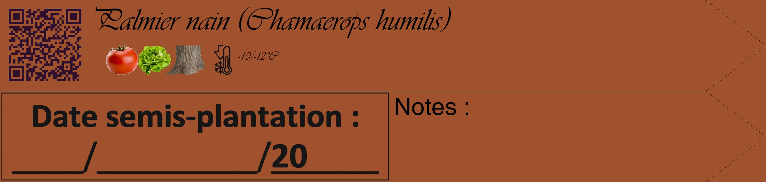Étiquette de : Chamaerops humilis - format c - style noire32simple_basique_basiqueviv avec qrcode et comestibilité simplifiée