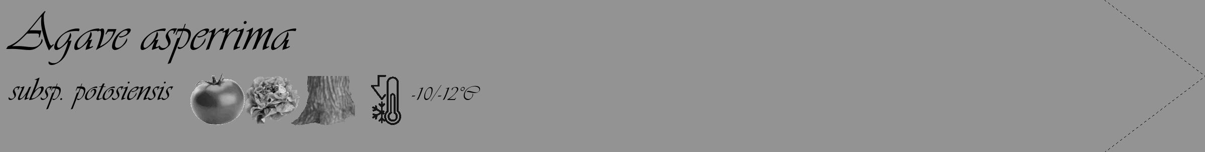 Étiquette de : Agave asperrima subsp. potosiensis - format c - style noire44_simple_simpleviv avec comestibilité simplifiée