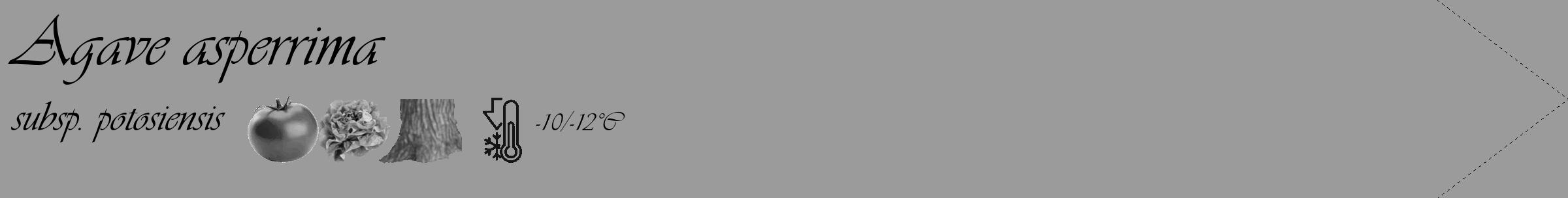Étiquette de : Agave asperrima subsp. potosiensis - format c - style noire52_simple_simpleviv avec comestibilité simplifiée