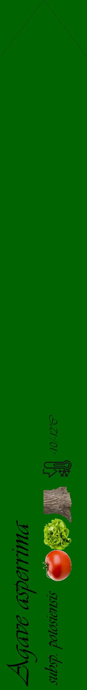 Étiquette de : Agave asperrima subsp. potosiensis - format c - style noire8_simple_simpleviv avec comestibilité simplifiée - position verticale