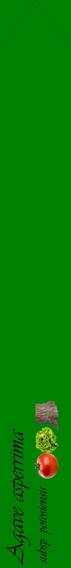 Étiquette de : Agave asperrima subsp. potosiensis - format c - style noire9_simpleviv avec comestibilité simplifiée