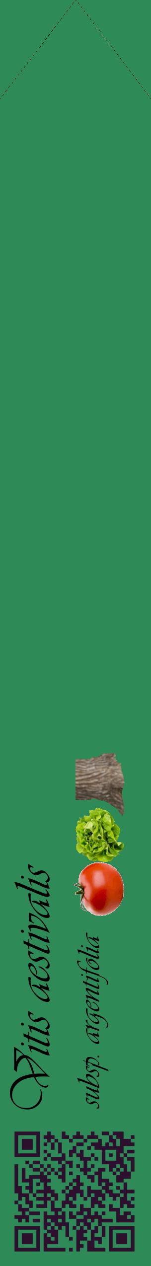 Étiquette de : Vitis aestivalis subsp. argentifolia - format c - style noire11_simpleviv avec qrcode et comestibilité simplifiée