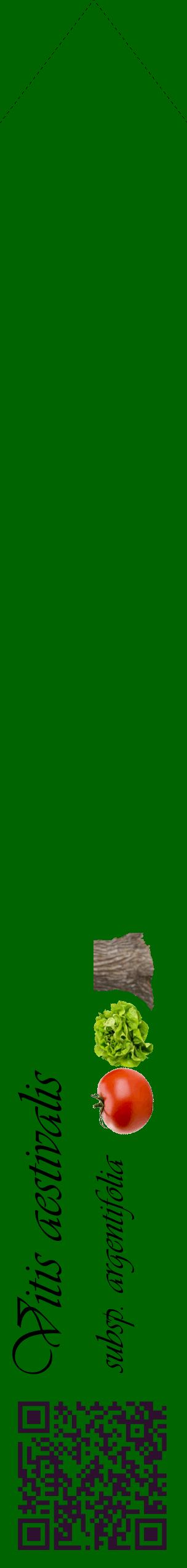 Étiquette de : Vitis aestivalis subsp. argentifolia - format c - style noire8_simpleviv avec qrcode et comestibilité simplifiée