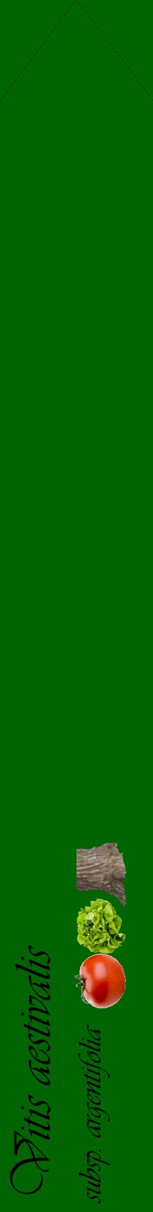 Étiquette de : Vitis aestivalis subsp. argentifolia - format c - style noire8_simpleviv avec comestibilité simplifiée