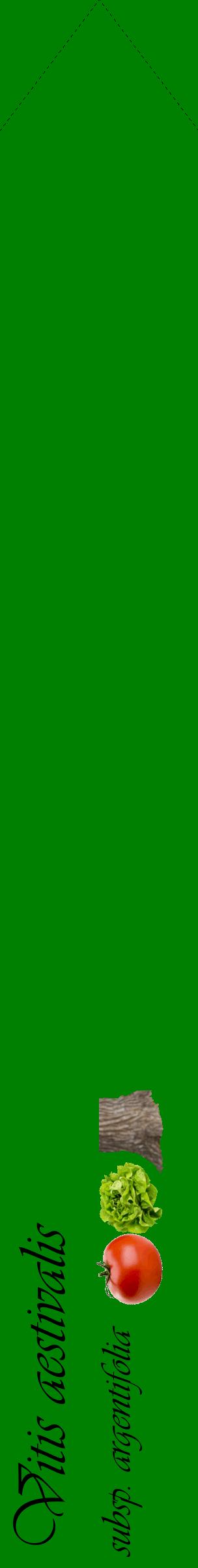 Étiquette de : Vitis aestivalis subsp. argentifolia - format c - style noire9_simpleviv avec comestibilité simplifiée