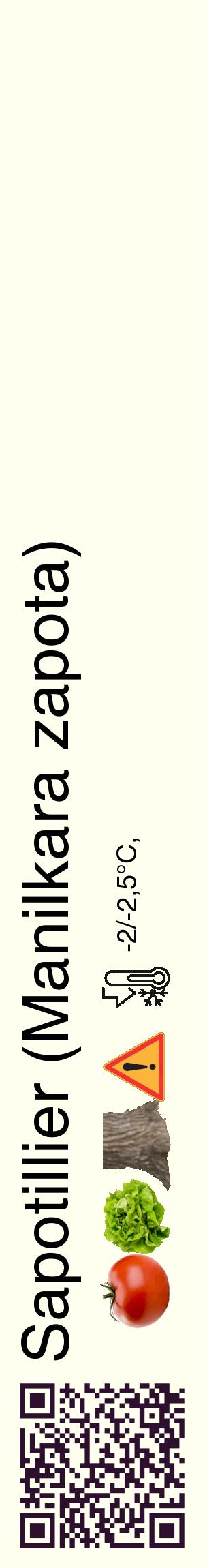 Étiquette de : Manilkara zapota - format c - style noire19_basique_basiquehel avec qrcode et comestibilité simplifiée - position verticale