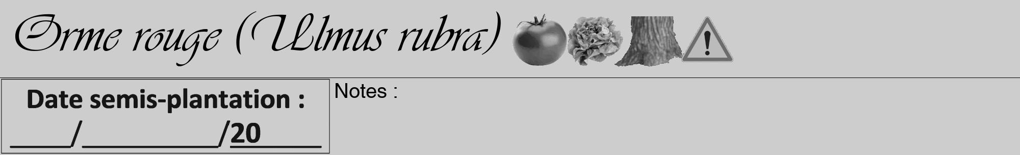 Étiquette de : Ulmus rubra - format a - style noire41viv avec comestibilité simplifiée