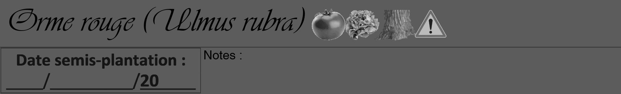 Étiquette de : Ulmus rubra - format a - style noire49viv avec comestibilité simplifiée