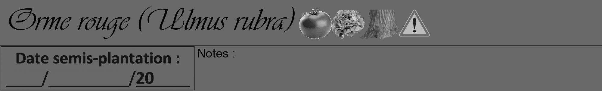 Étiquette de : Ulmus rubra - format a - style noire51viv avec comestibilité simplifiée