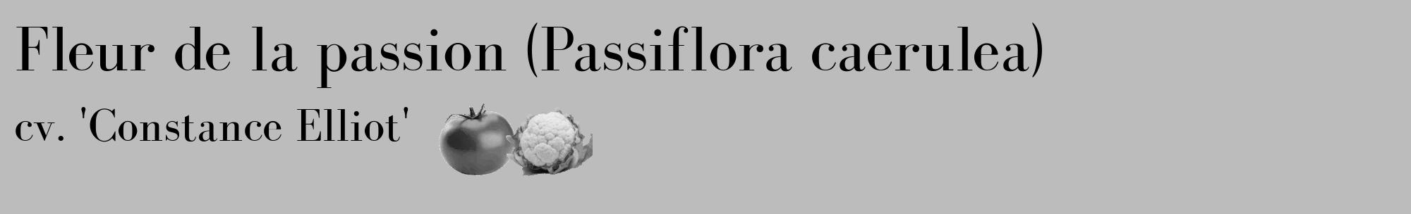 Étiquette de : Passiflora caerulea cv. 'Constance Elliot' - format c - style noire1_basique_basiquebod avec comestibilité simplifiée