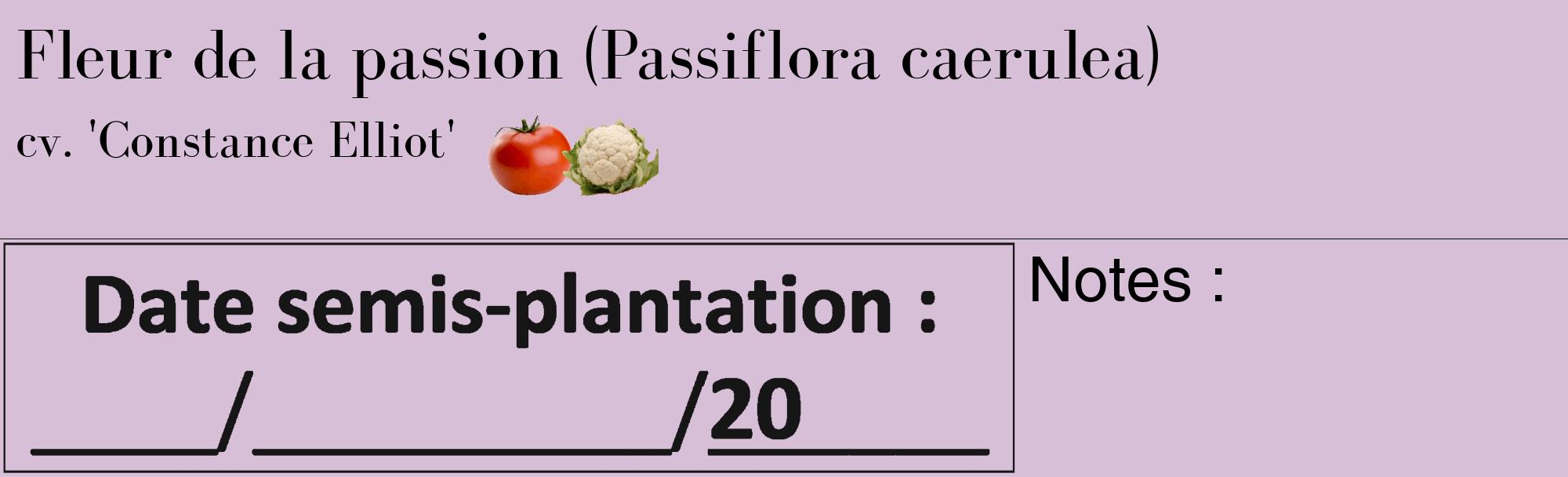 Étiquette de : Passiflora caerulea cv. 'Constance Elliot' - format c - style noire54_basique_basiquebod avec comestibilité simplifiée