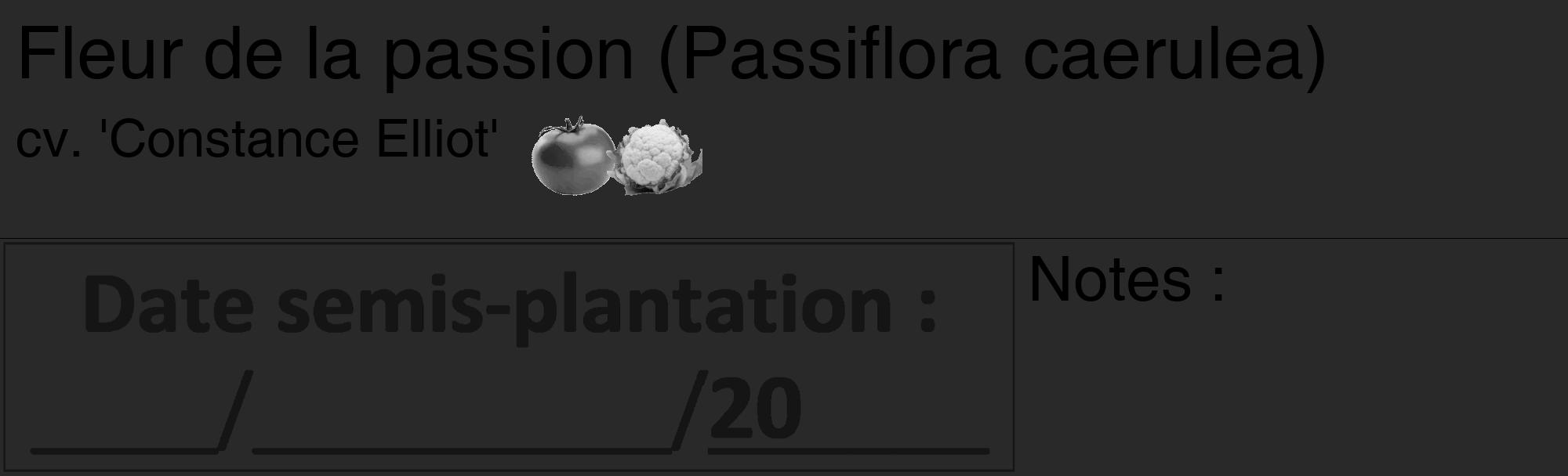 Étiquette de : Passiflora caerulea cv. 'Constance Elliot' - format c - style noire34_basique_basiquehel avec comestibilité simplifiée