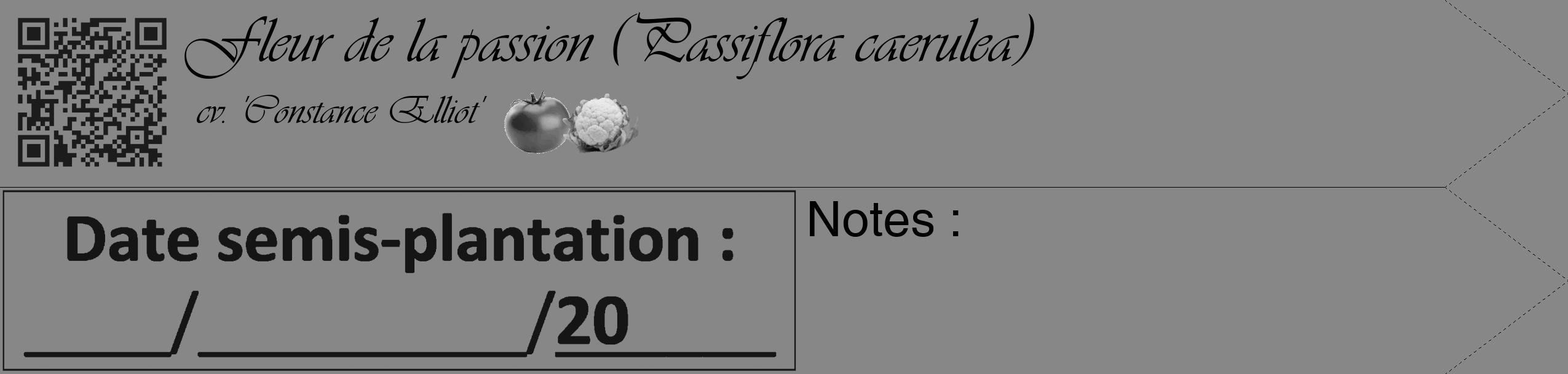 Étiquette de : Passiflora caerulea cv. 'Constance Elliot' - format c - style noire12_simple_simpleviv avec qrcode et comestibilité simplifiée