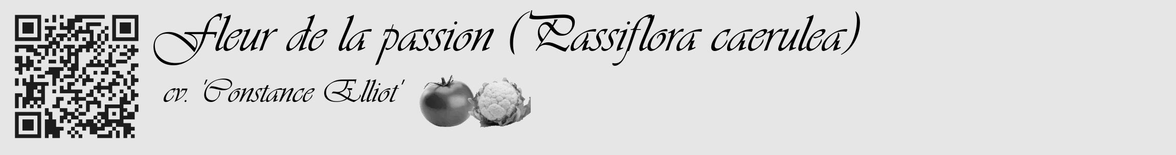 Étiquette de : Passiflora caerulea cv. 'Constance Elliot' - format c - style noire18_basique_basiqueviv avec qrcode et comestibilité simplifiée