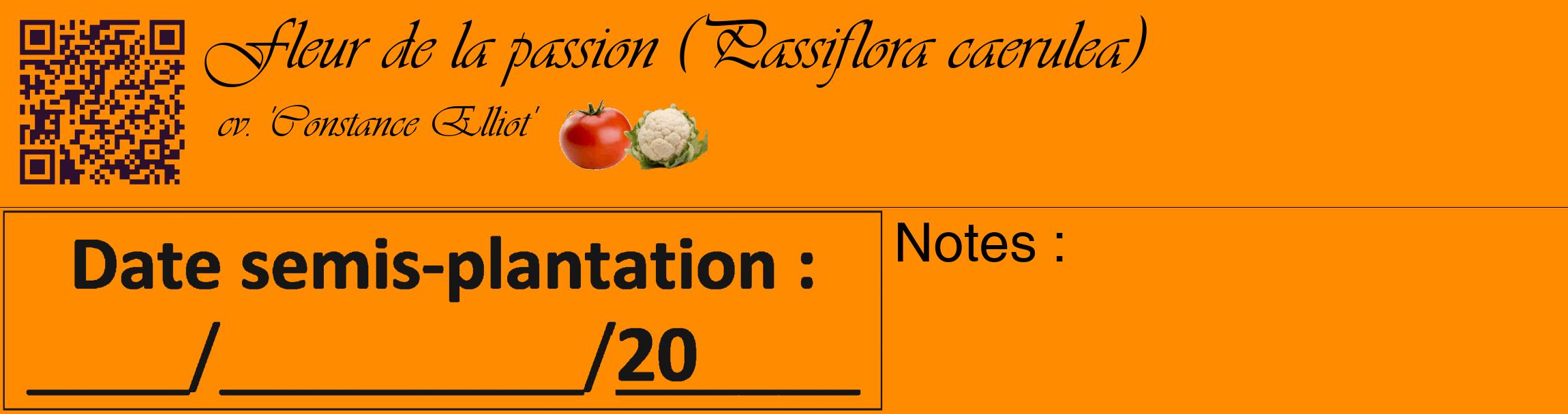 Étiquette de : Passiflora caerulea cv. 'Constance Elliot' - format c - style noire23_basique_basiqueviv avec qrcode et comestibilité simplifiée