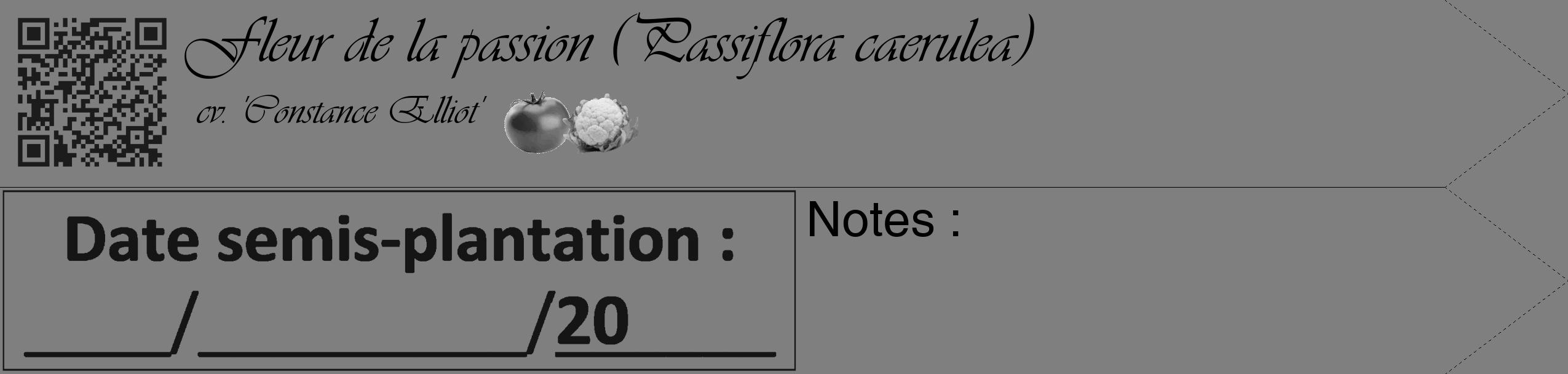 Étiquette de : Passiflora caerulea cv. 'Constance Elliot' - format c - style noire31_simple_simpleviv avec qrcode et comestibilité simplifiée