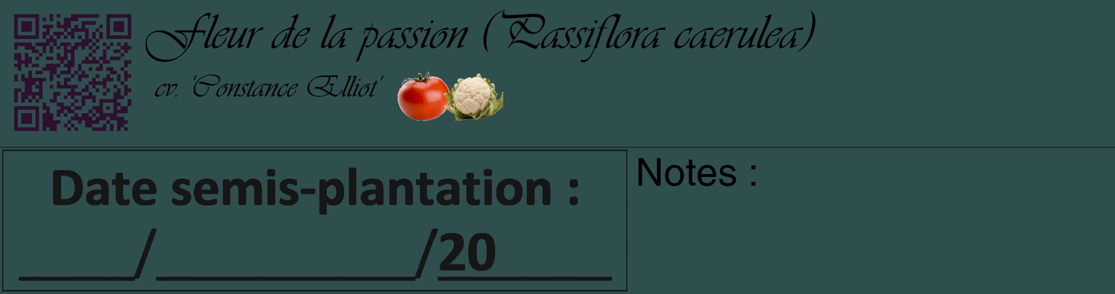 Étiquette de : Passiflora caerulea cv. 'Constance Elliot' - format c - style noire58basique_basique_basiqueviv avec qrcode et comestibilité simplifiée