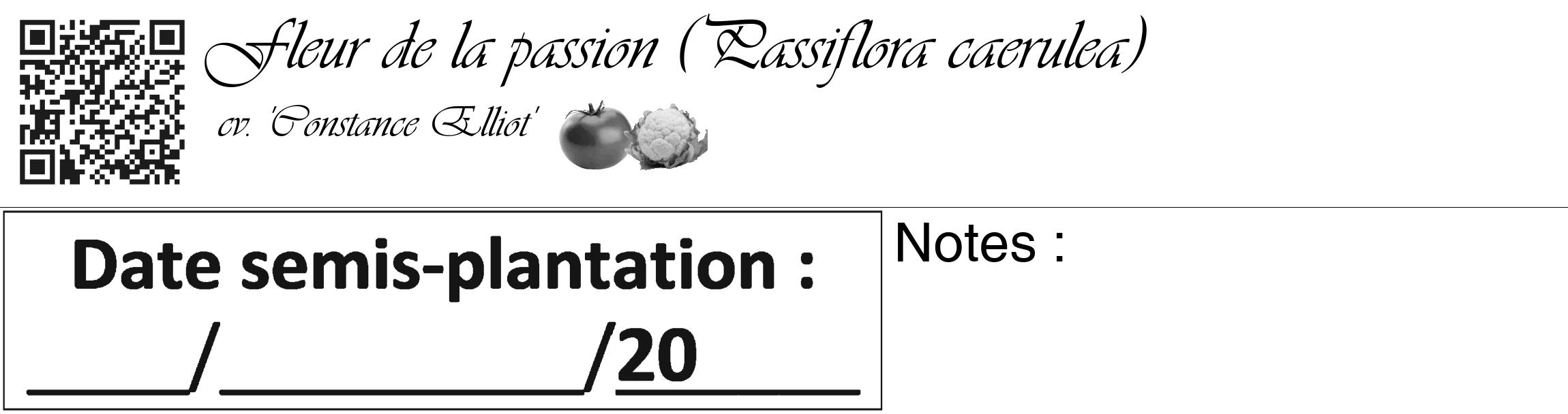 Étiquette de : Passiflora caerulea cv. 'Constance Elliot' - format c - style noire60_basique_basiqueviv avec qrcode et comestibilité simplifiée