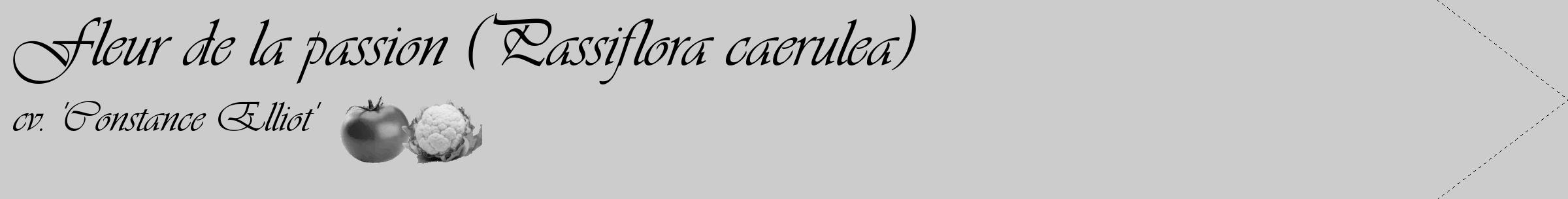 Étiquette de : Passiflora caerulea cv. 'Constance Elliot' - format c - style noire0_simple_simpleviv avec comestibilité simplifiée