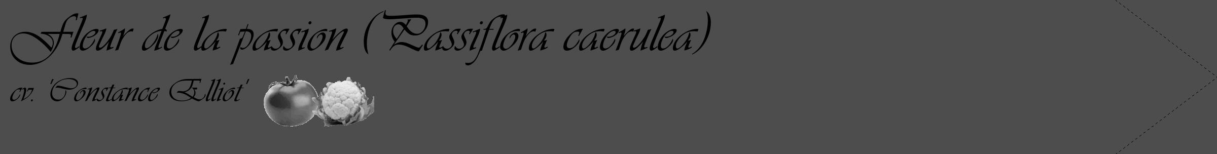 Étiquette de : Passiflora caerulea cv. 'Constance Elliot' - format c - style noire28_simple_simpleviv avec comestibilité simplifiée