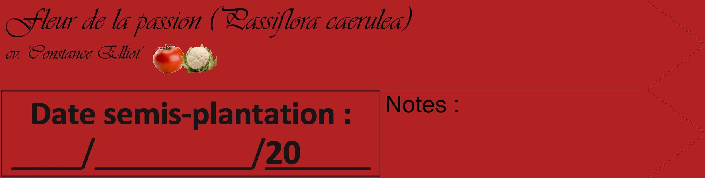 Étiquette de : Passiflora caerulea cv. 'Constance Elliot' - format c - style noire28_simple_simpleviv avec comestibilité simplifiée