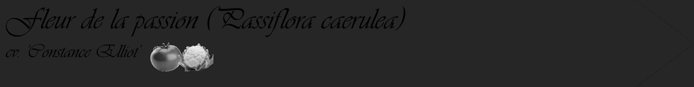 Étiquette de : Passiflora caerulea cv. 'Constance Elliot' - format c - style noire29_simple_simpleviv avec comestibilité simplifiée