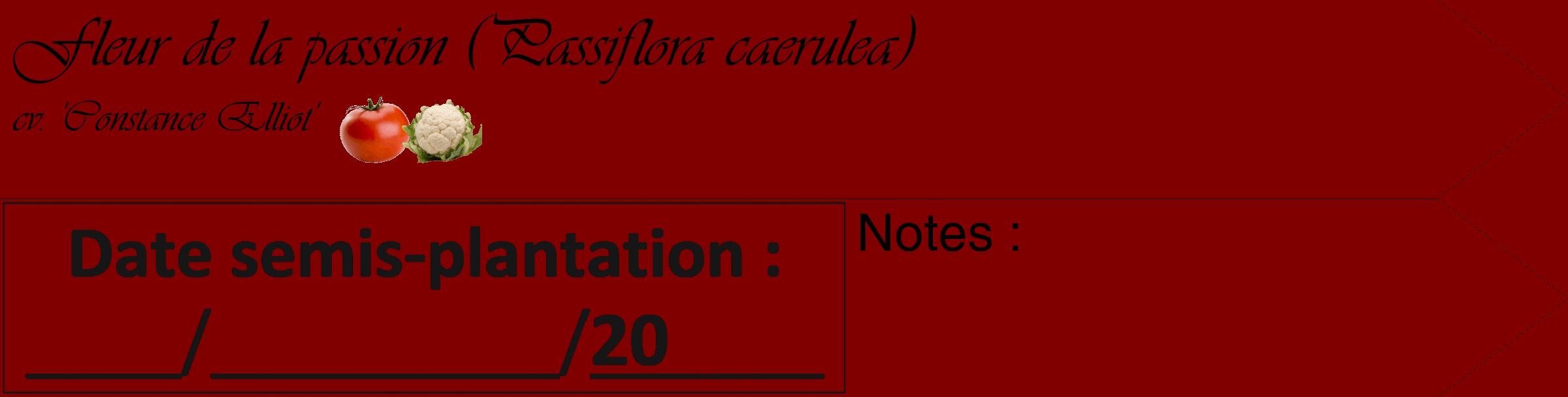 Étiquette de : Passiflora caerulea cv. 'Constance Elliot' - format c - style noire29_simple_simpleviv avec comestibilité simplifiée