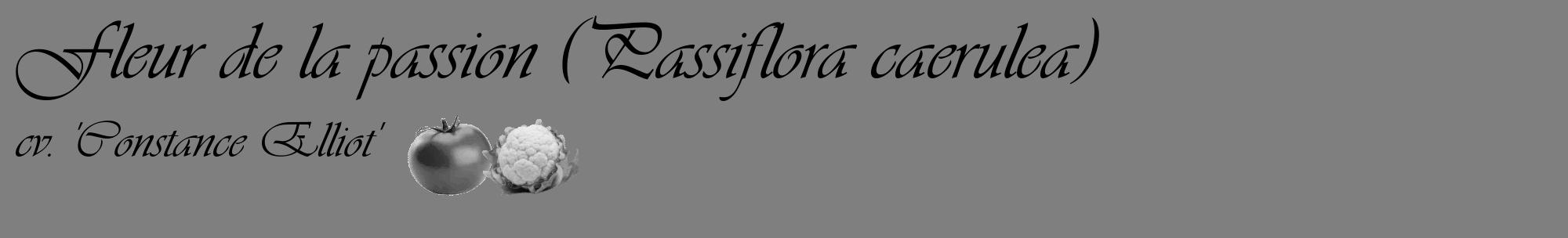 Étiquette de : Passiflora caerulea cv. 'Constance Elliot' - format c - style noire31_basique_basiqueviv avec comestibilité simplifiée