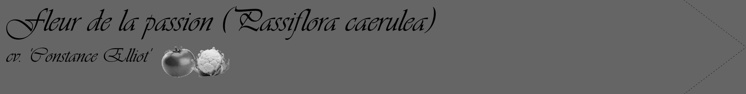 Étiquette de : Passiflora caerulea cv. 'Constance Elliot' - format c - style noire32_simple_simpleviv avec comestibilité simplifiée