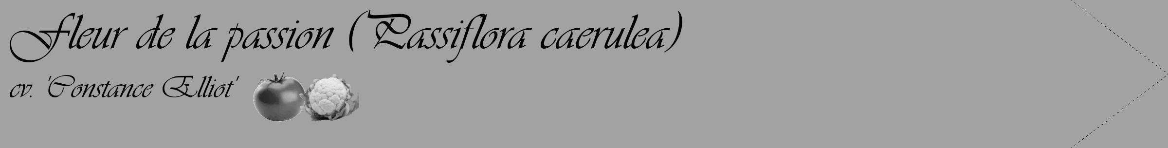 Étiquette de : Passiflora caerulea cv. 'Constance Elliot' - format c - style noire38_simple_simpleviv avec comestibilité simplifiée