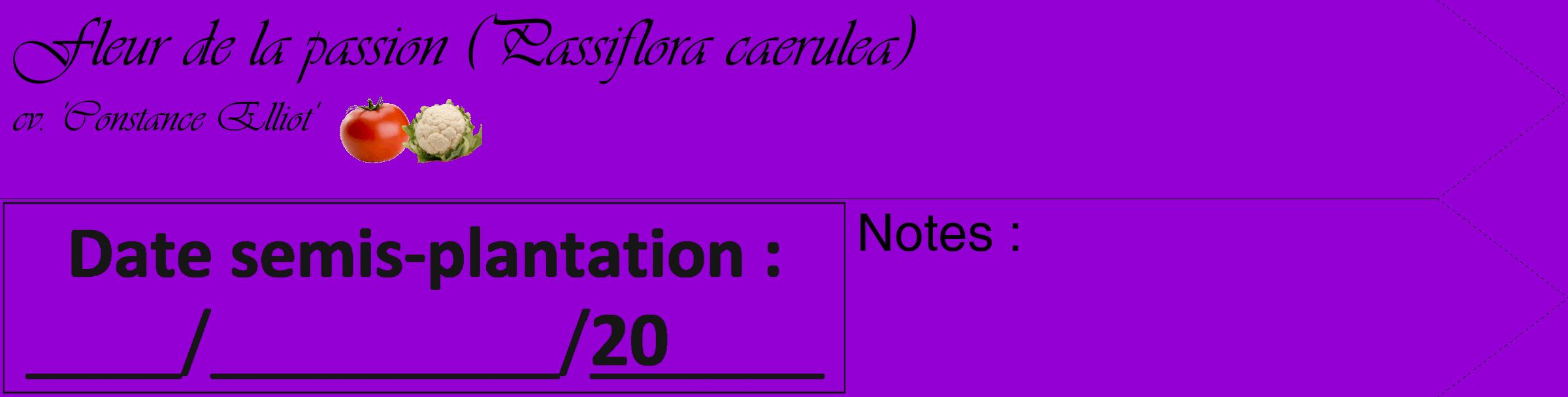 Étiquette de : Passiflora caerulea cv. 'Constance Elliot' - format c - style noire48_simple_simpleviv avec comestibilité simplifiée