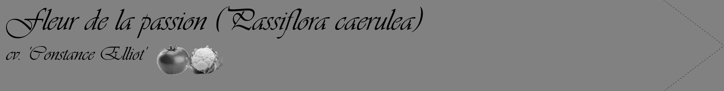 Étiquette de : Passiflora caerulea cv. 'Constance Elliot' - format c - style noire50_simple_simpleviv avec comestibilité simplifiée