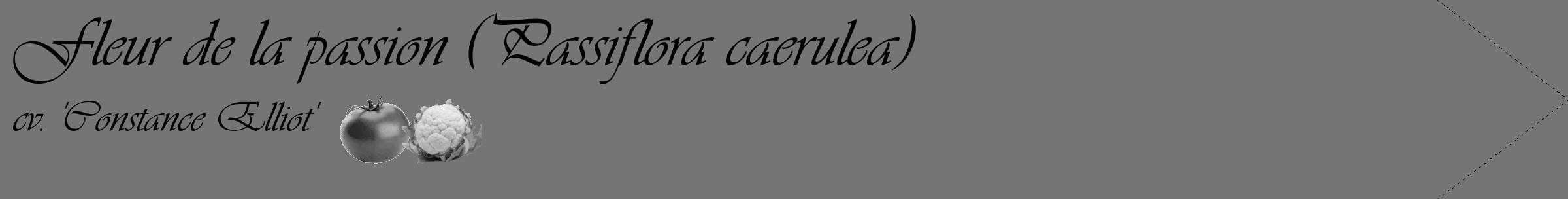 Étiquette de : Passiflora caerulea cv. 'Constance Elliot' - format c - style noire5_simple_simpleviv avec comestibilité simplifiée