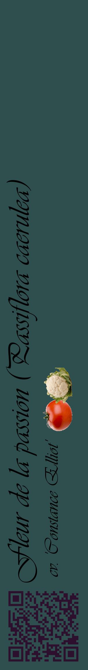 Étiquette de : Passiflora caerulea cv. 'Constance Elliot' - format c - style noire58_basiqueviv avec qrcode et comestibilité simplifiée