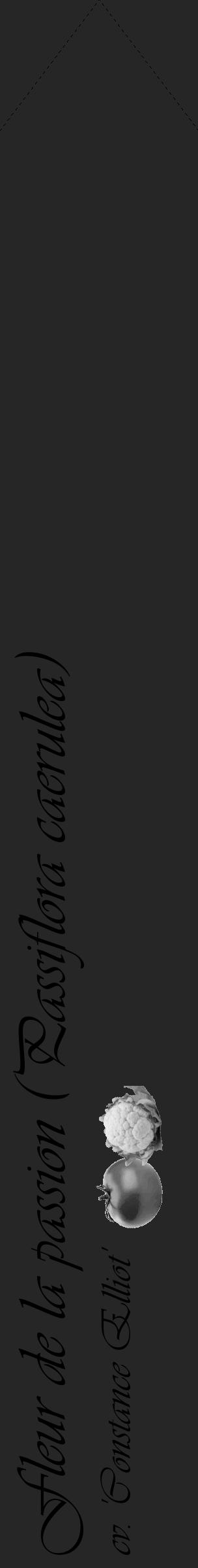 Étiquette de : Passiflora caerulea cv. 'Constance Elliot' - format c - style noire29_simple_simpleviv avec comestibilité simplifiée - position verticale