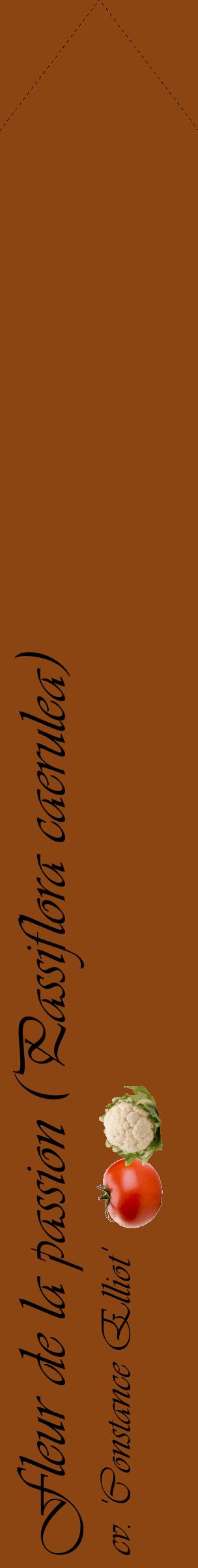 Étiquette de : Passiflora caerulea cv. 'Constance Elliot' - format c - style noire30_simpleviv avec comestibilité simplifiée