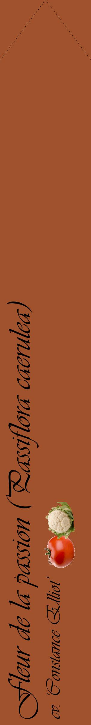 Étiquette de : Passiflora caerulea cv. 'Constance Elliot' - format c - style noire32_simpleviv avec comestibilité simplifiée