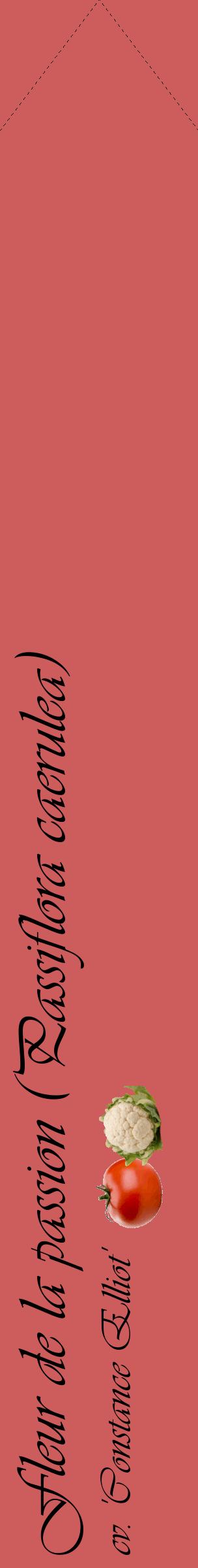 Étiquette de : Passiflora caerulea cv. 'Constance Elliot' - format c - style noire35_simpleviv avec comestibilité simplifiée